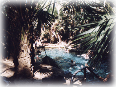 Thermal Pool Mataranka