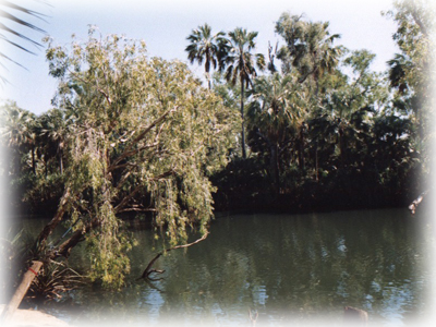 Elsy National Park